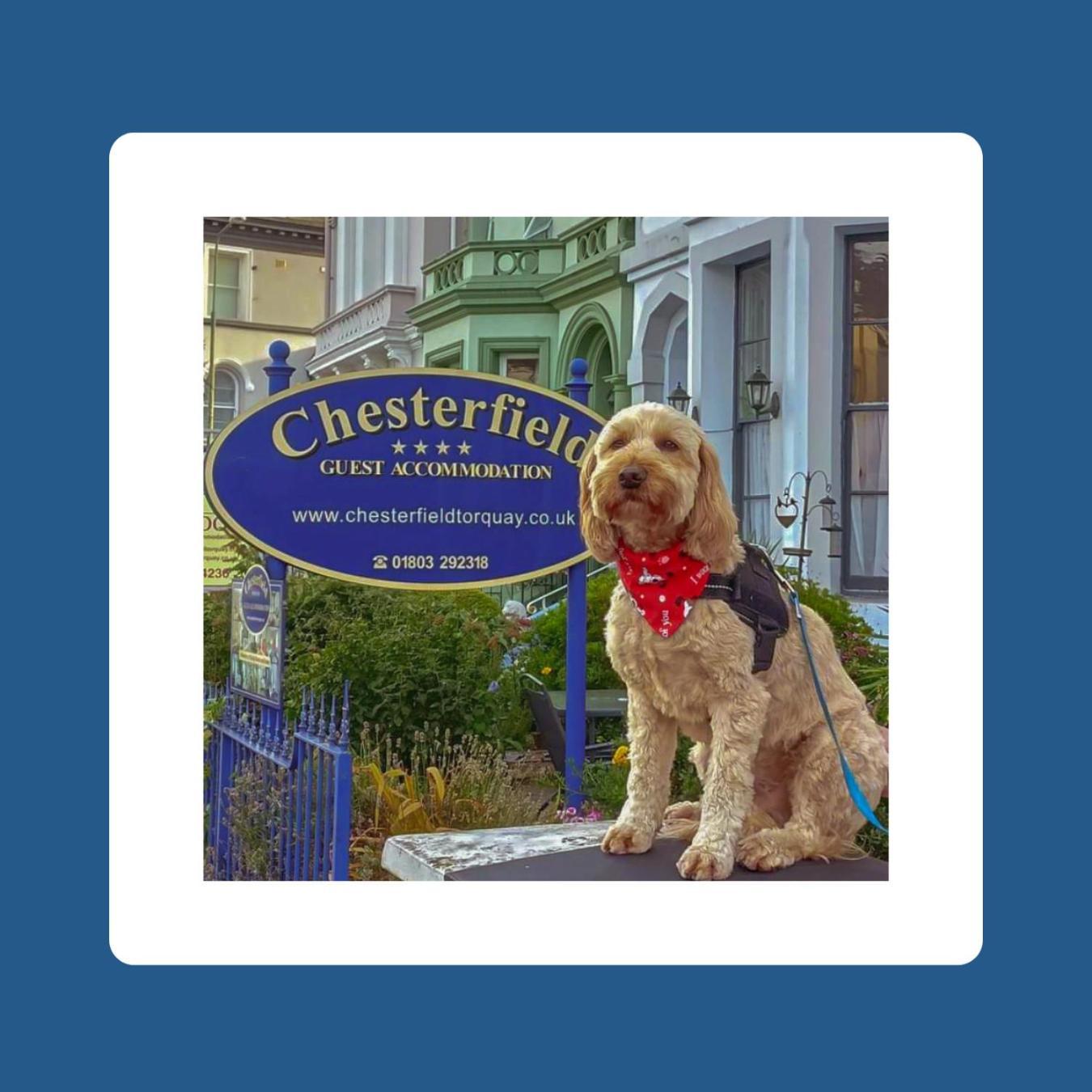 The Chesterfield, Torquay (Adults Only) المظهر الخارجي الصورة